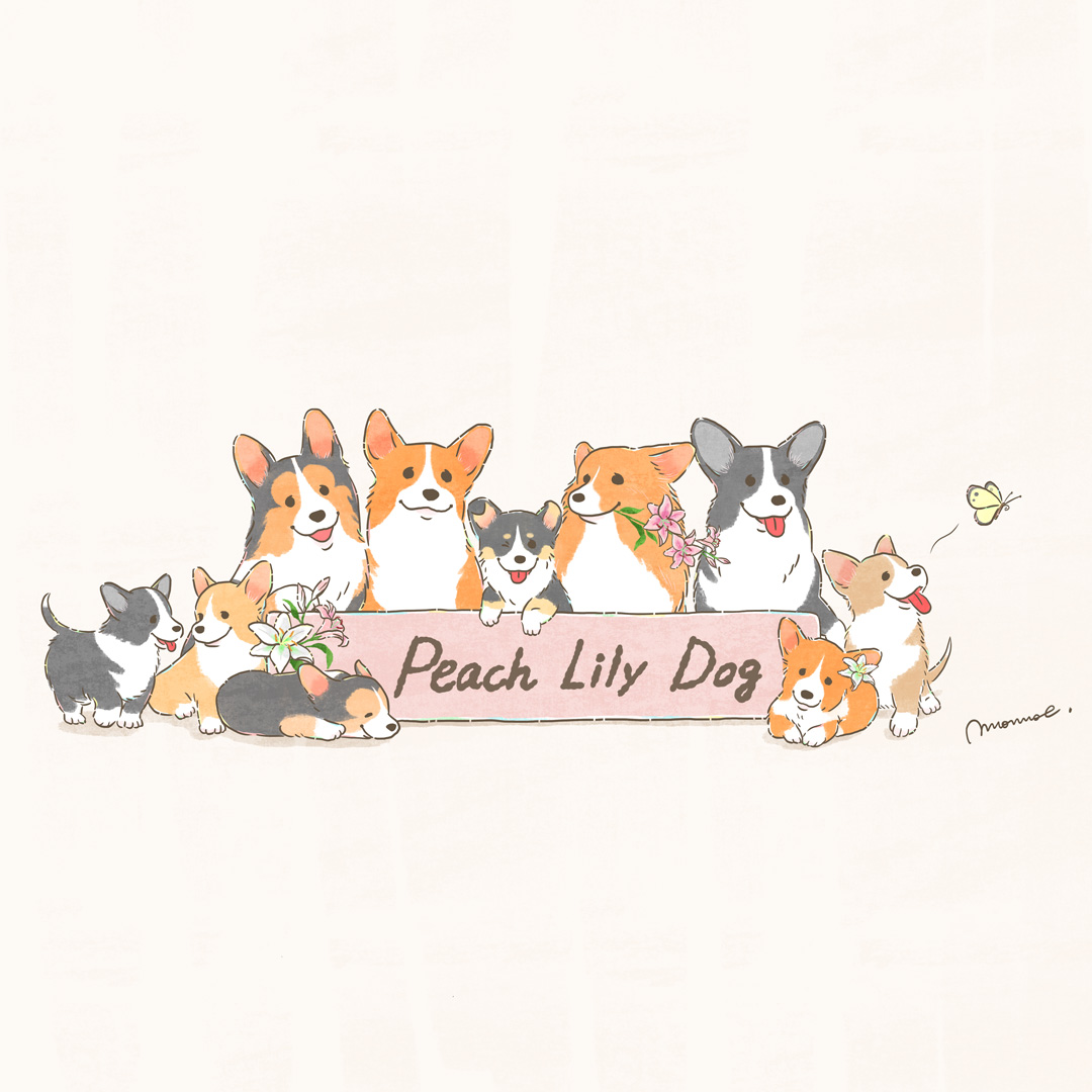 Peach Lily Dogの手描きコーギーイラスト