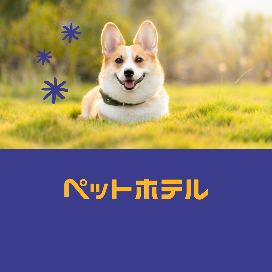 【お知らせ】ペットホテル 8月利用分受付終了