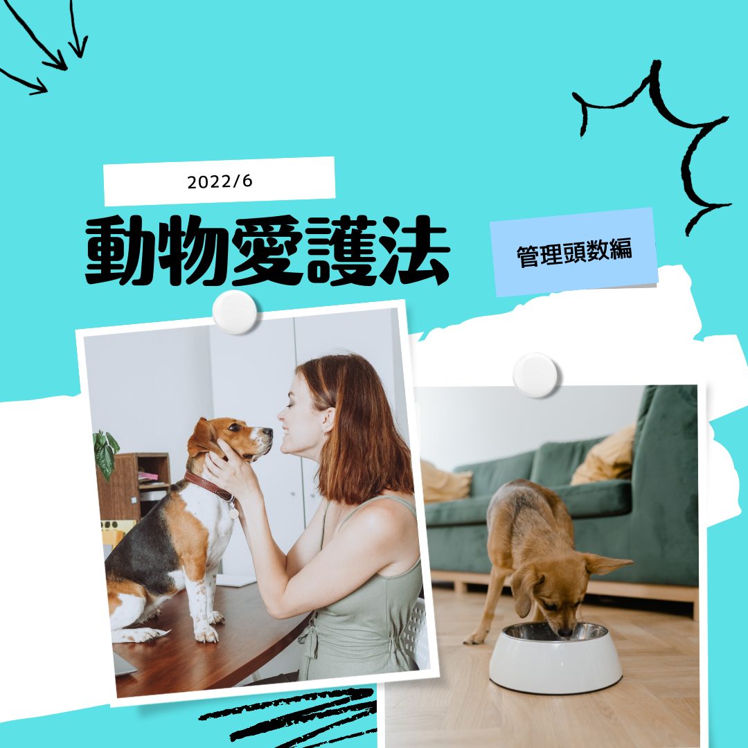 【解説】2022年6月より適用 動物愛護法改正 パート２