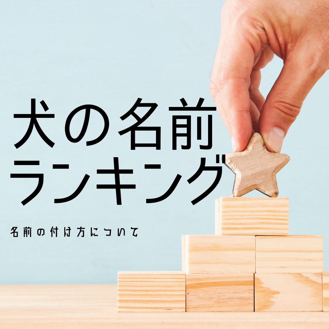 【コラム】犬の名前ランキング＆名前の付け方