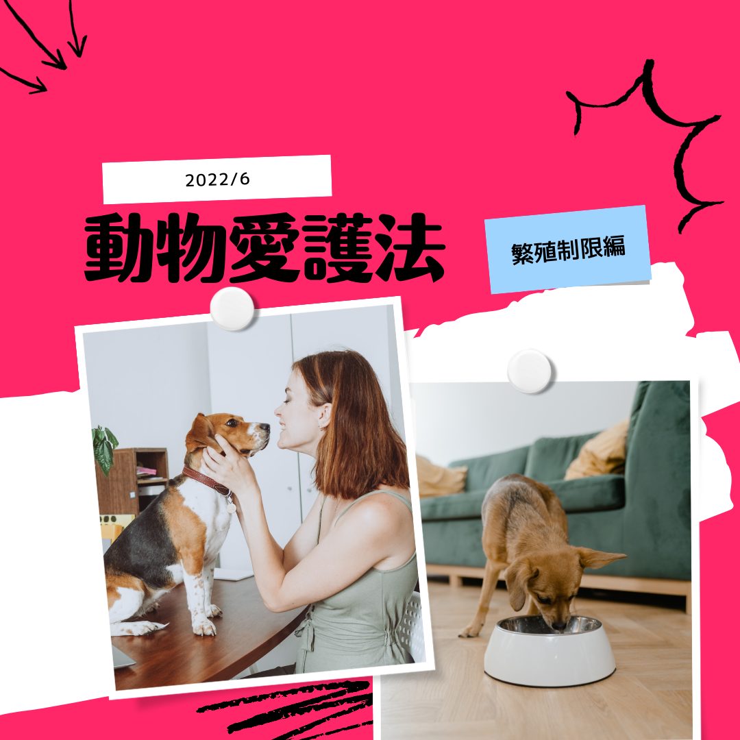 【解説】2022年6月より適用 動物愛護法改正 パート３